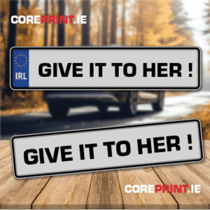 Novelty Plates - Give it To Her!
